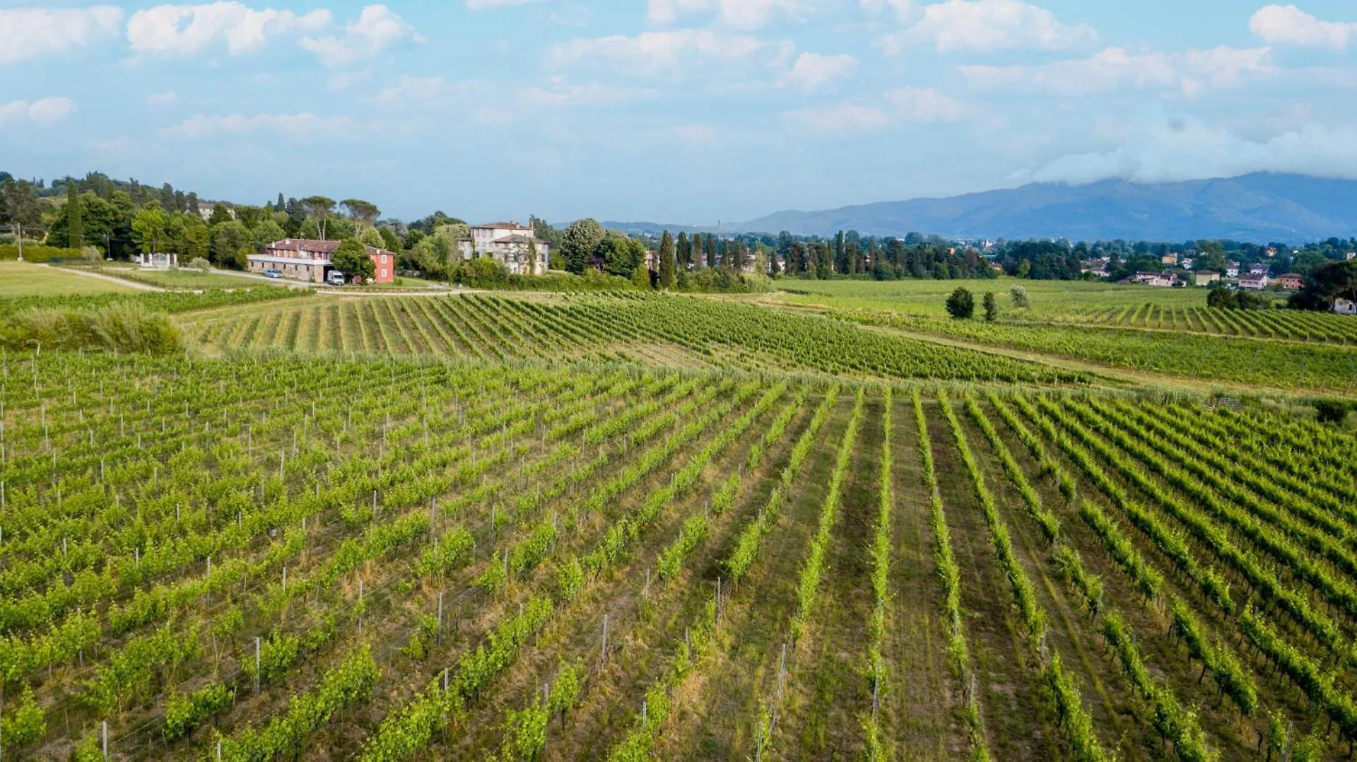 Donato Farmhouse Apartment With Shared Pool Lucca Italy